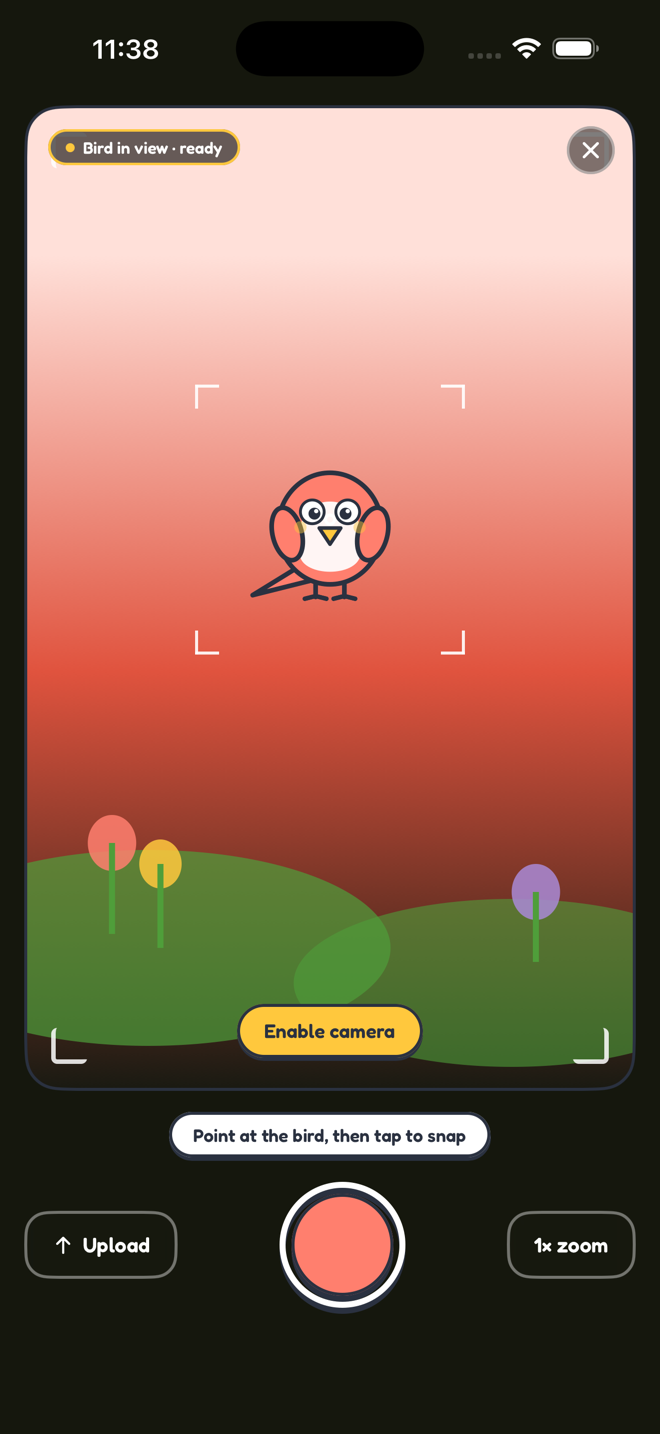 Songtrail's camera viewfinder framing a bird